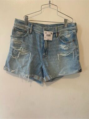 American Eagle Outfitters Light Blue Distressed Denim Cutoff Shorts